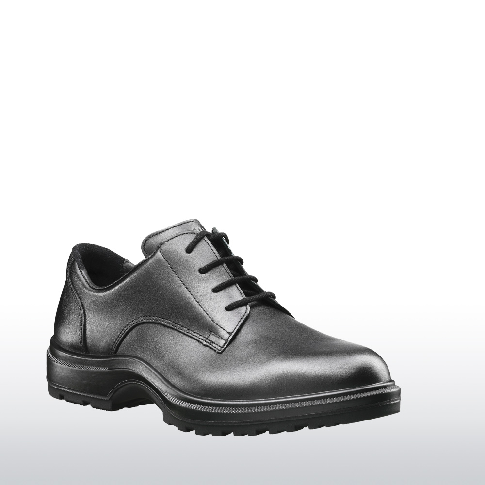 100501_dienstschuh