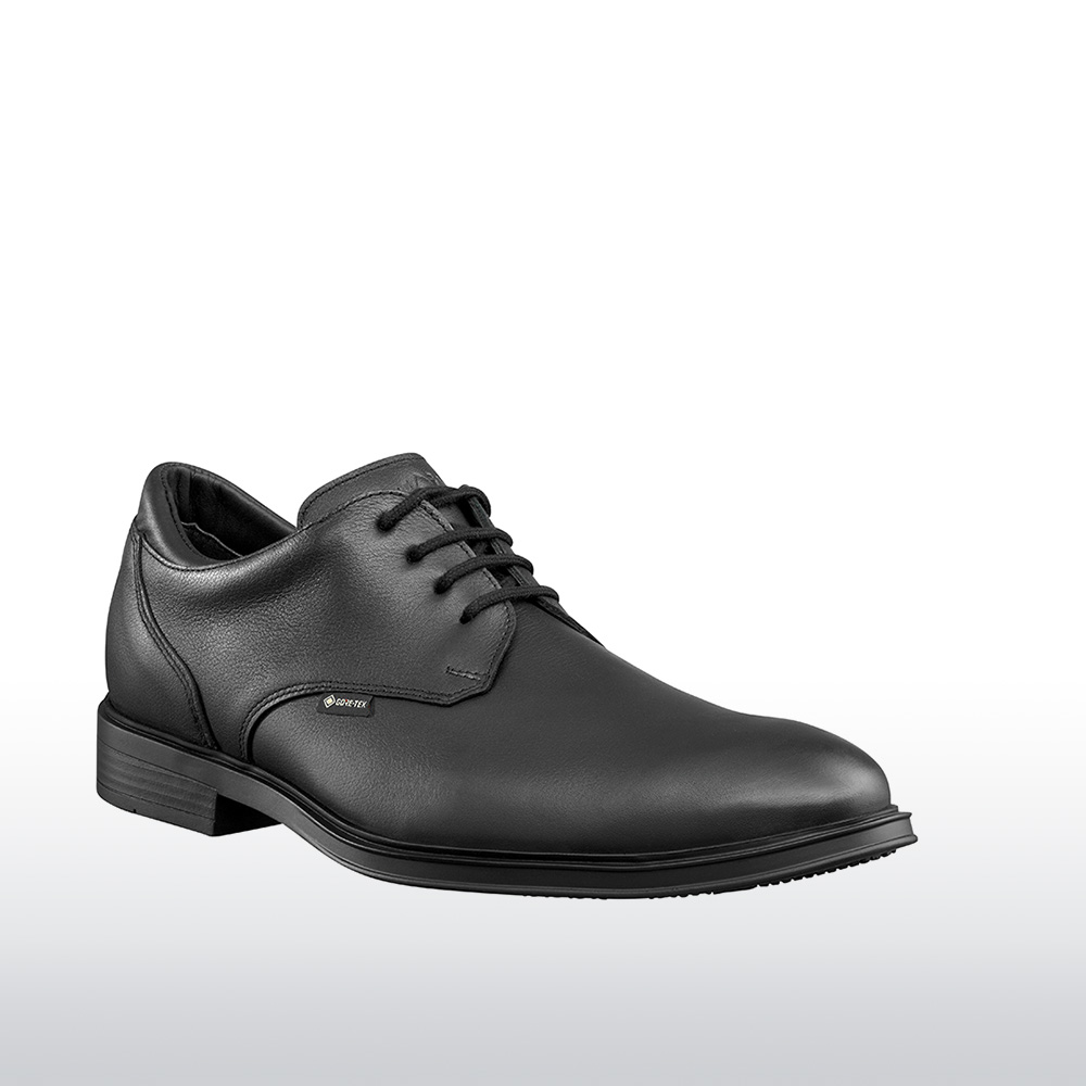 Dienstschuh